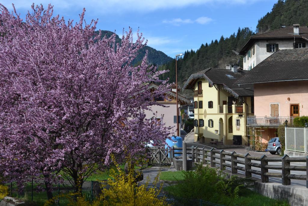 B&B La Tana Dell'Orso - Die Baerenhoehle Castello-Molina di Fiemme Luaran gambar