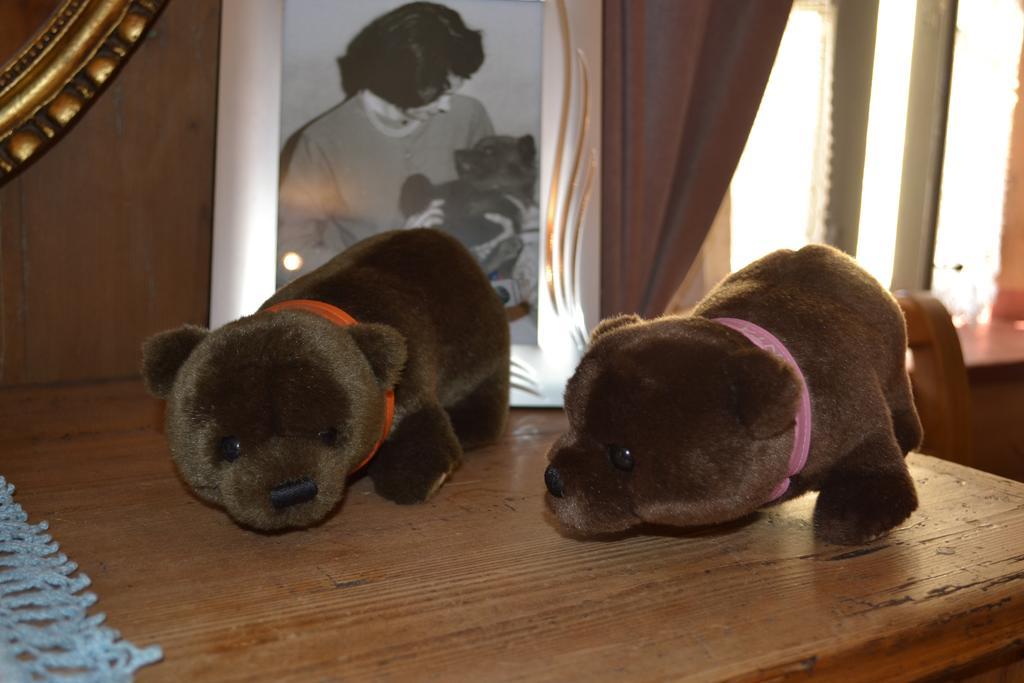 B&B La Tana Dell'Orso - Die Baerenhoehle Castello-Molina di Fiemme Luaran gambar