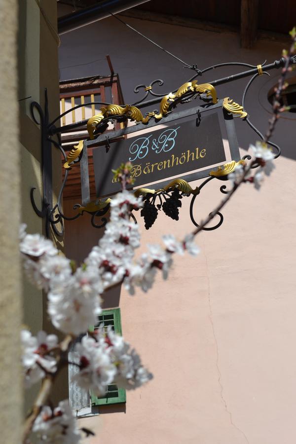 B&B La Tana Dell'Orso - Die Baerenhoehle Castello-Molina di Fiemme Luaran gambar